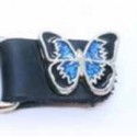 Extension pour gilet blue butterfly